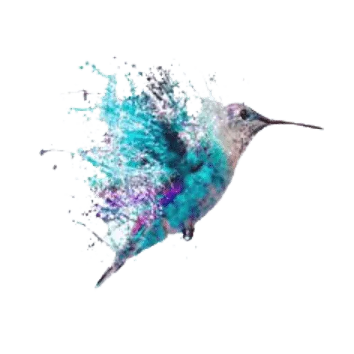 Birds - Sticker 20