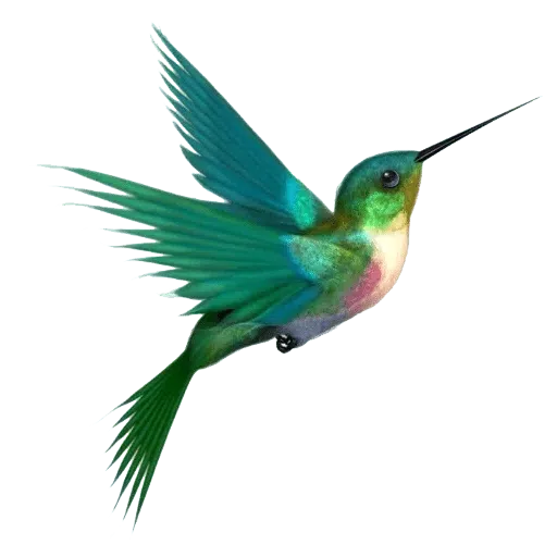 Birds - Sticker 17
