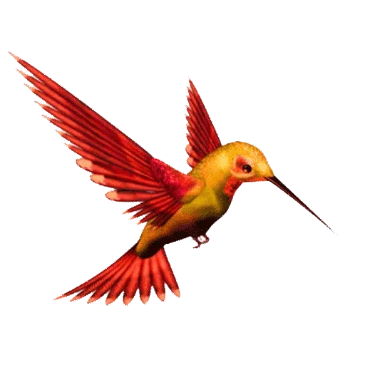 Birds - Sticker 9