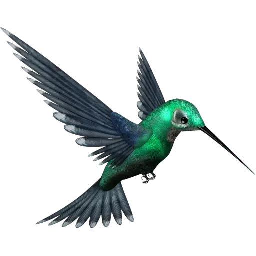 Birds - Sticker 18
