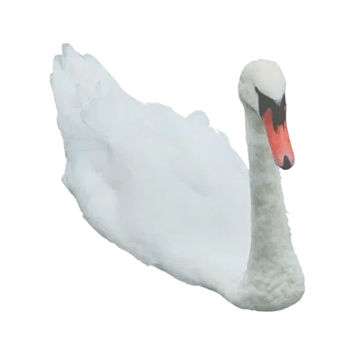 Birds - Sticker 16