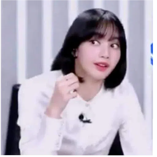 BlackPinkuuu - Sticker 11