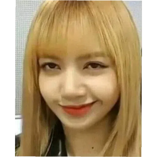 BlackPinkuuu - Sticker 14