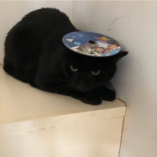 funne cat 3 - Sticker 19