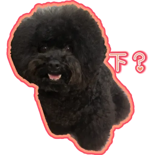 Bill Bill - Sticker 9