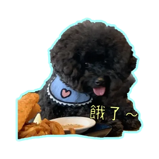 Bill Bill - Sticker 10