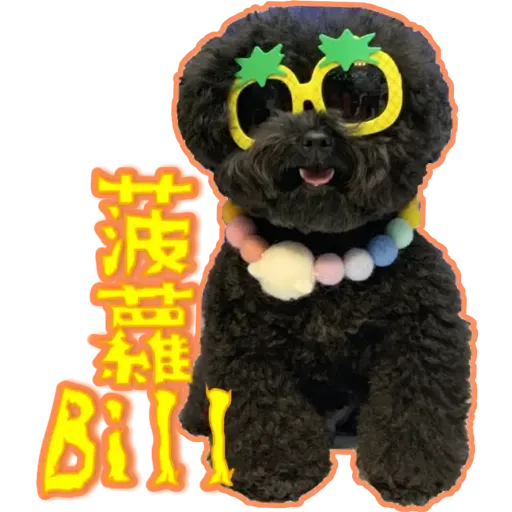 Bill Bill - Sticker 12