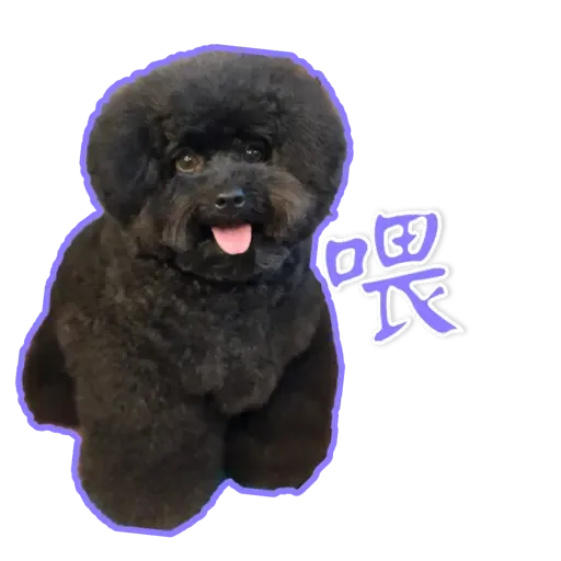 Bill Bill - Sticker 13