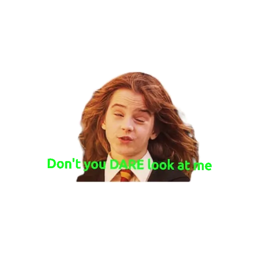 Harry Potter - Sticker 10