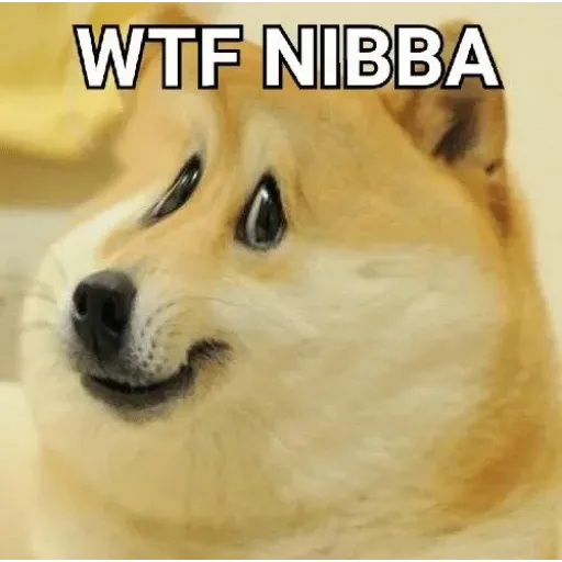 Doge - Sticker 23