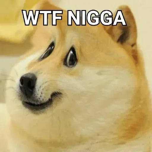 Doge - Sticker 22