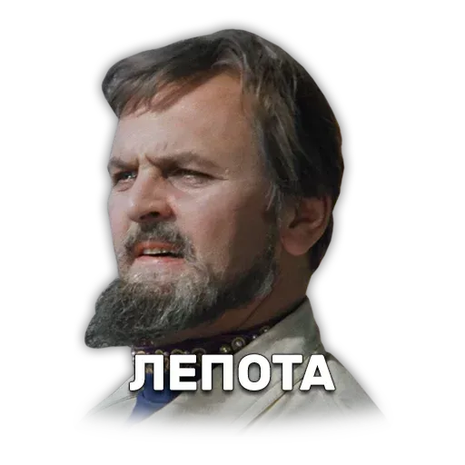 Иван Васильевич меняет профессию - Sticker 21