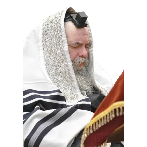 כשר - Sticker 9