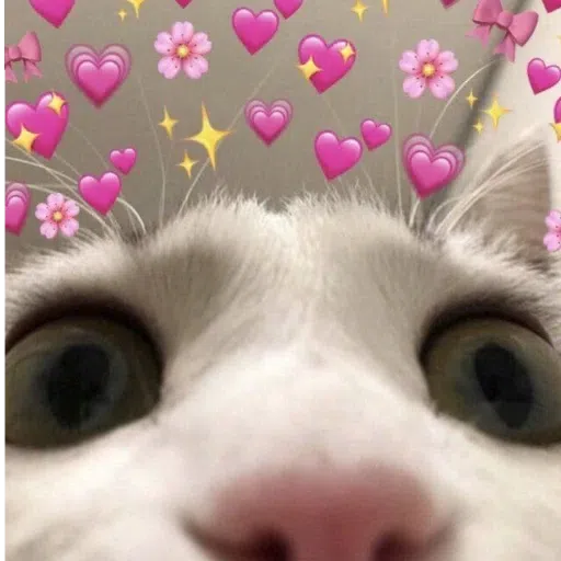 gatitos xd - Sticker 11