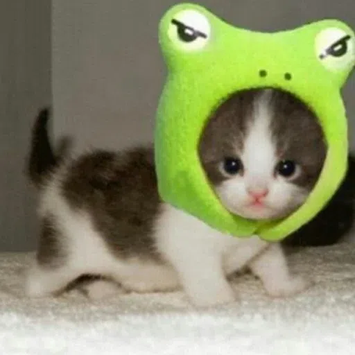 gatitos xd - Sticker 10