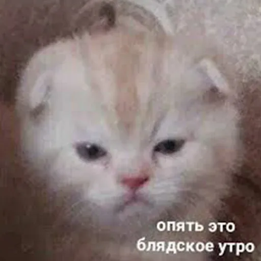 Битмк - Sticker 13