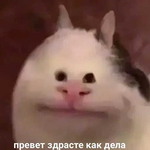 Битмк - Sticker 12