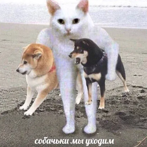 Битмк - Sticker 17