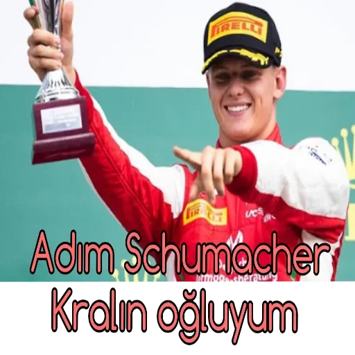 FORMULA 1 TURKEY PART 2 - Sticker 9