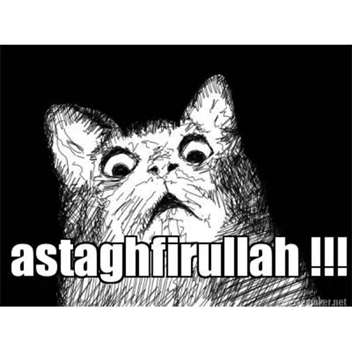 Bonk Haram - Sticker 27