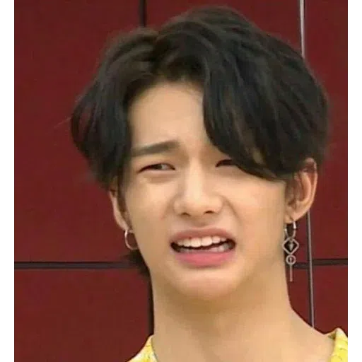 Skz - Sticker 14