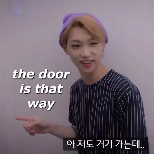 Skz - Sticker 12