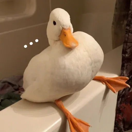 duck 1 - Sticker 20