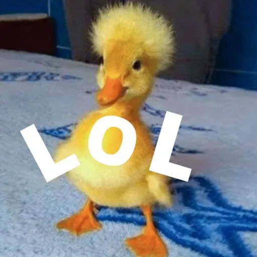 duck 1 - Sticker 16