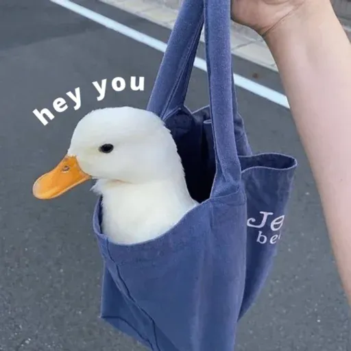 duck 1 - Sticker 27