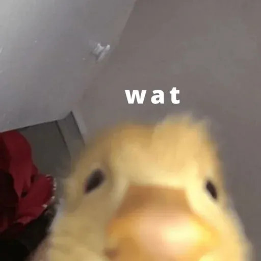 duck 1 - Sticker 19