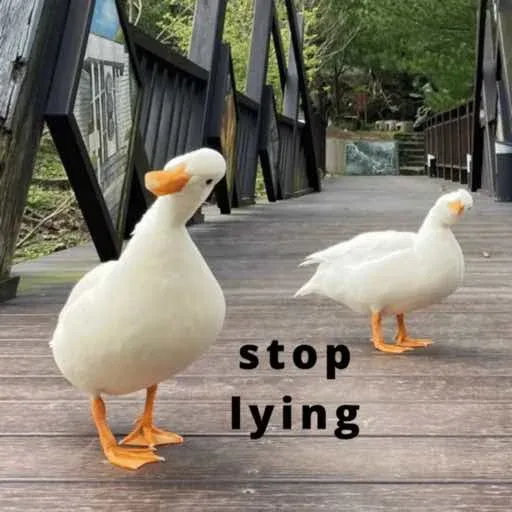 duck 1 - Sticker 23