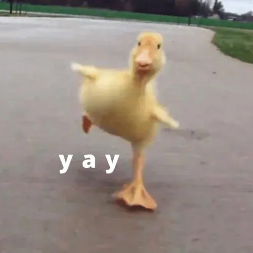duck 1 - Sticker 14