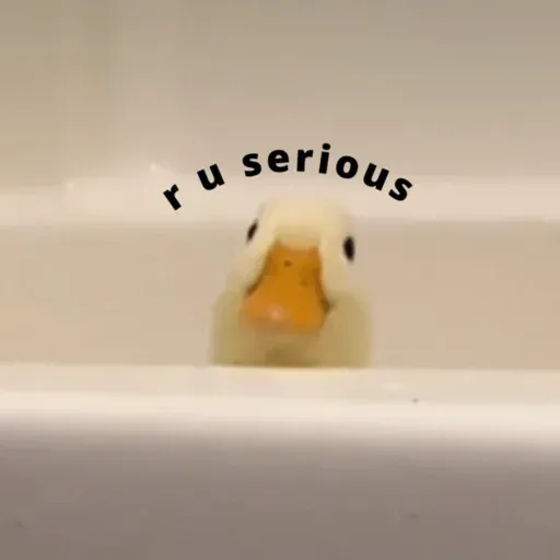 duck 1 - Sticker 28