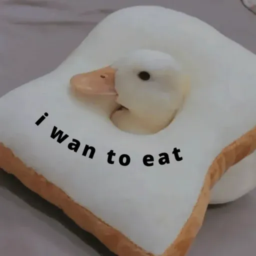 duck 1 - Sticker 22