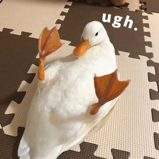 duck 1 - Sticker 10