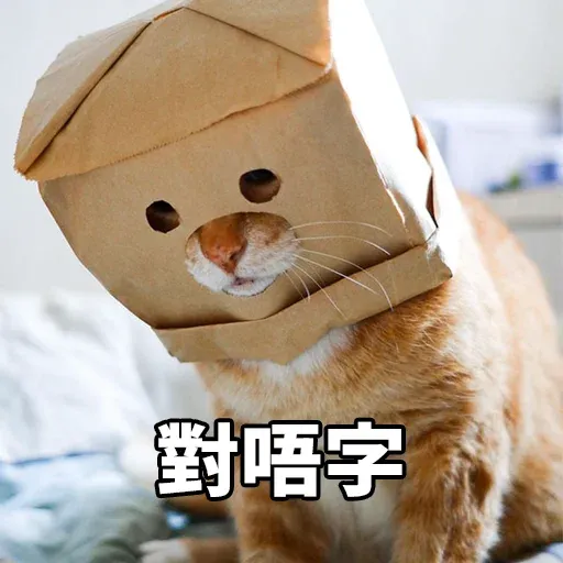 suencheunghoqq - Sticker 10