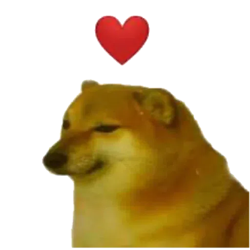 Doggo doing things - Sticker 22