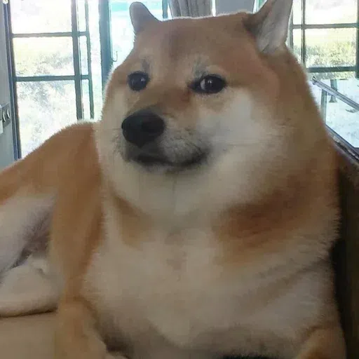 Doggo doing things - Sticker 15