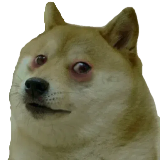 Doggo doing things - Sticker 17