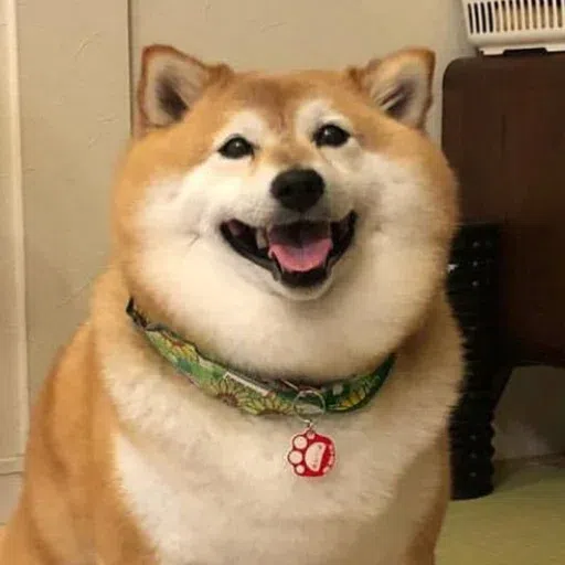 Doggo doing things - Sticker 11