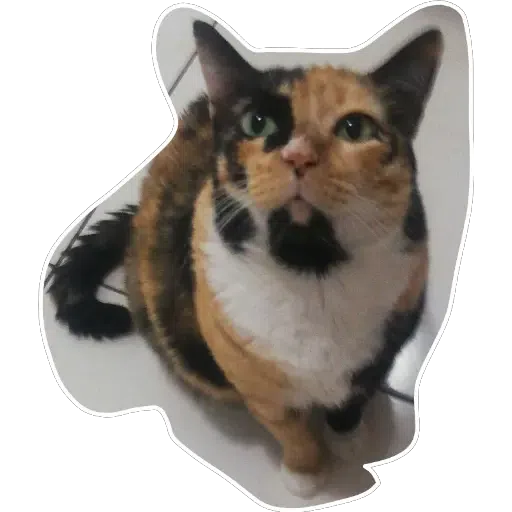Yolo - Sticker 19