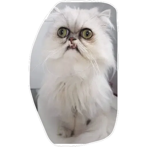 Yolo - Sticker 16