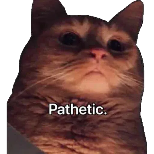 Memes - Sticker 19
