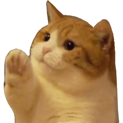 Memes - Sticker 11