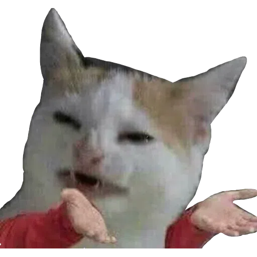 Memes - Sticker 14