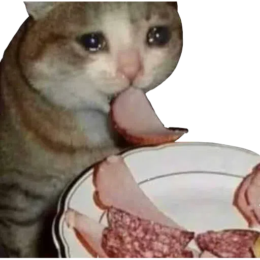 Memes - Sticker 9
