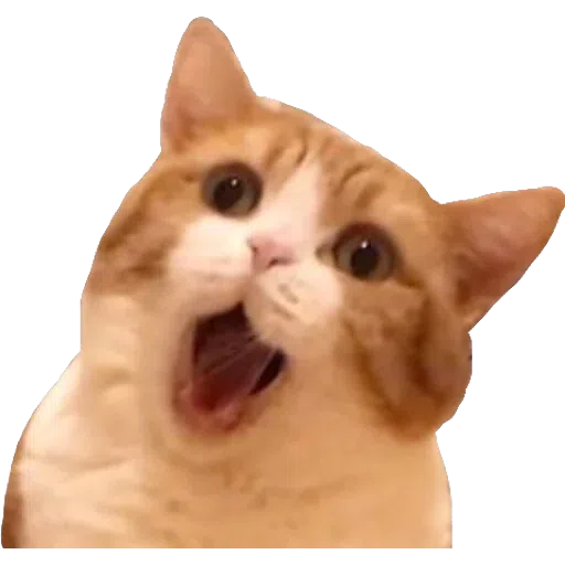 Memes - Sticker 15