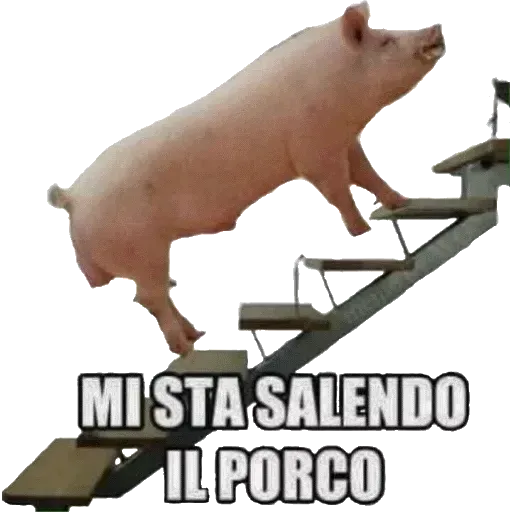Shish - Sticker 20