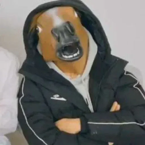 Los stray - Sticker