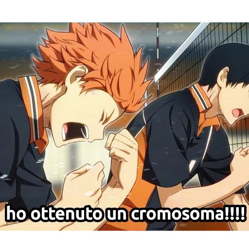 Haikyuu - Sticker 26